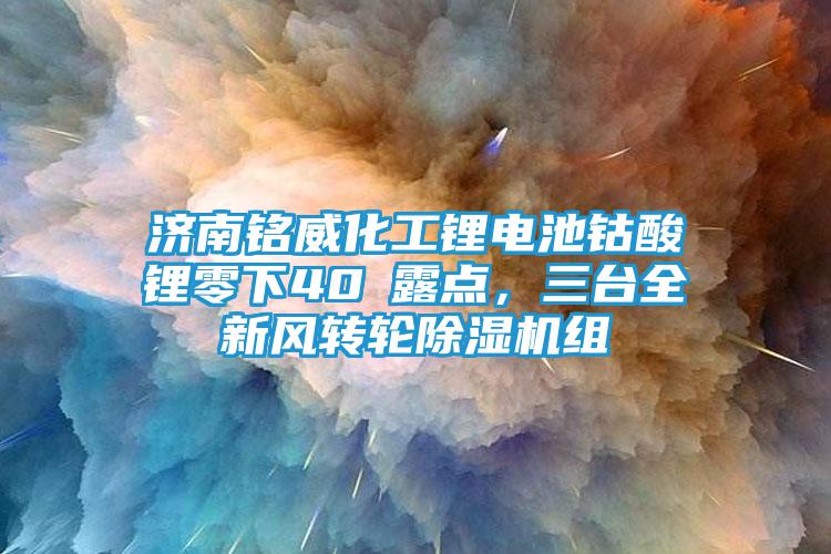 济南铭威化工锂电池钴酸锂零下40℃露点，三台全新风转轮除湿机组