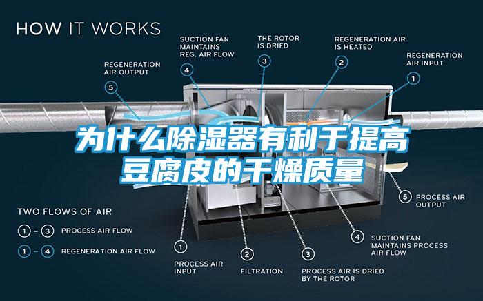 为什么除湿器有利于提高豆腐皮的干燥质量