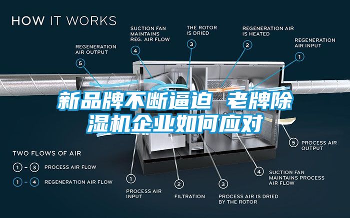 新品牌不断逼迫 老牌除湿机企业如何应对