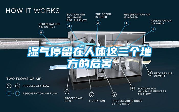 湿气停留在人体这三个地方的危害