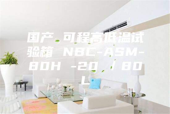 国产 可程高低温试验箱 NBC-ASM-80H -20℃／80L