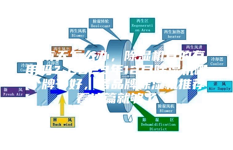 回南天怎么办，除湿机真的有用吗？2023年12月除湿机哪个牌子好，各品牌除湿机推荐看这篇就够了