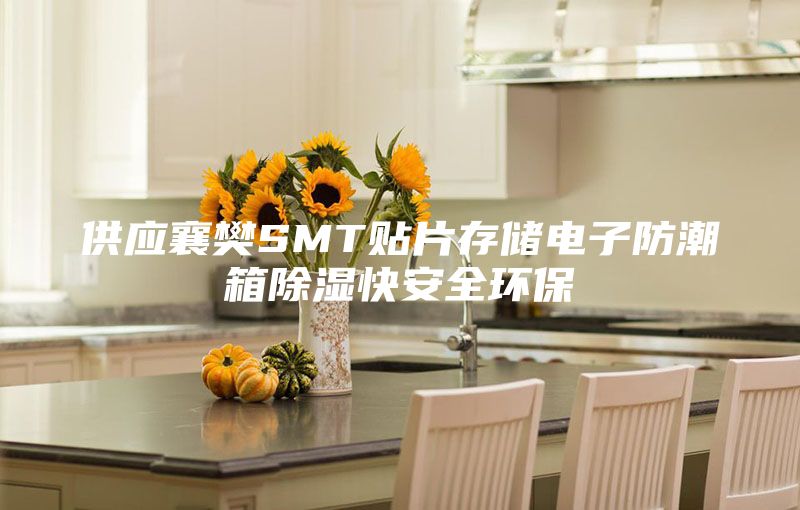 供应襄樊SMT贴片存储电子防潮箱除湿快安全环保