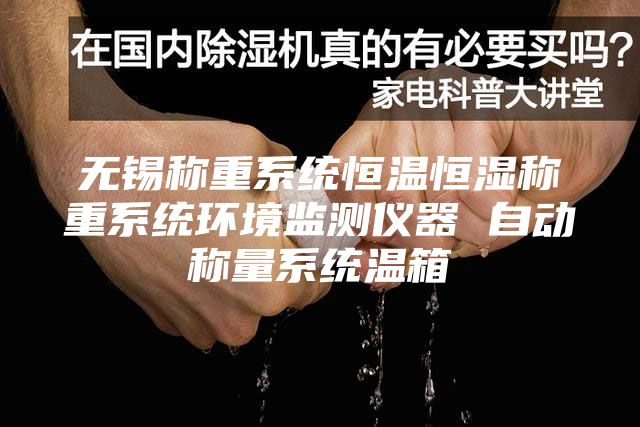 无锡称重系统恒温恒湿称重系统环境监测仪器 自动称量系统温箱