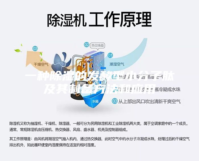 一种除湿的发酵型小分子肽及其制备方法和应用