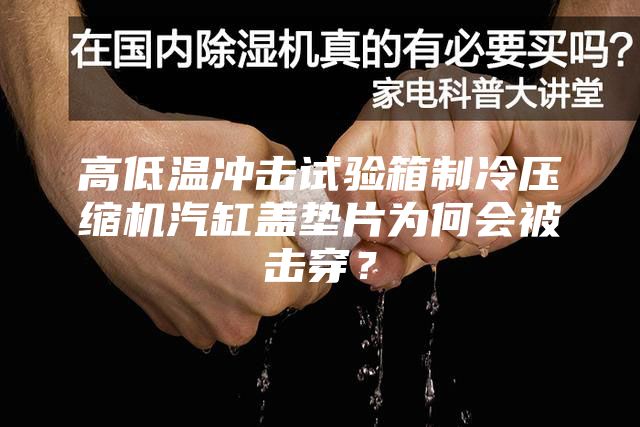 高低温冲击试验箱制冷压缩机汽缸盖垫片为何会被击穿？