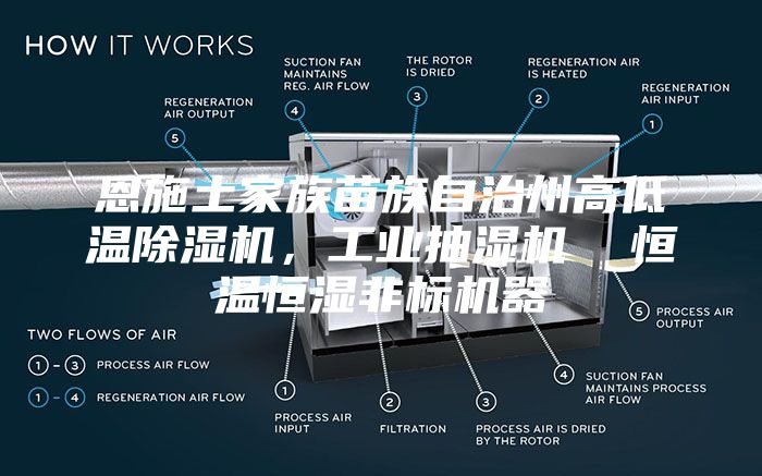 恩施土家族苗族自治州高低温除湿机，工业抽湿机  恒温恒湿非标机器