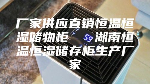 厂家供应直销恒温恒湿储物柜   湖南恒温恒湿储存柜生产厂家